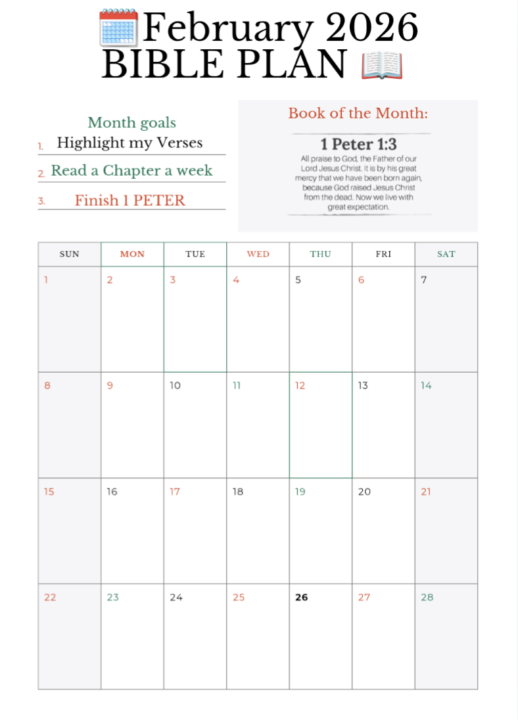 Bible Plan 👇🏽