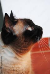 Lidia Mercedes Quispe Sanchez