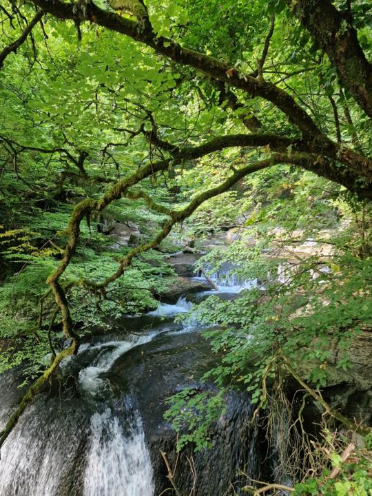 🔥 Entraînement des Piliers 💧