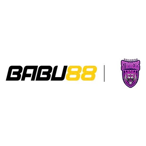 Babu Llc