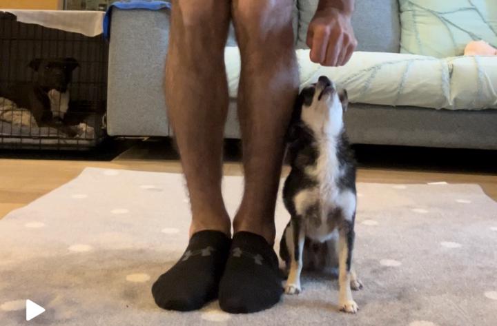 Training Chain - Week 4 - ‘The Orbit’