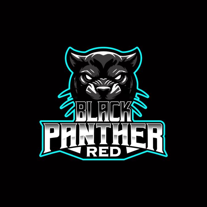 Nicolas Black Panther