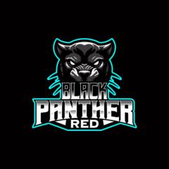 Nicolas Black Panther