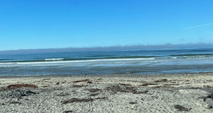 West Coast Existential Psych™
