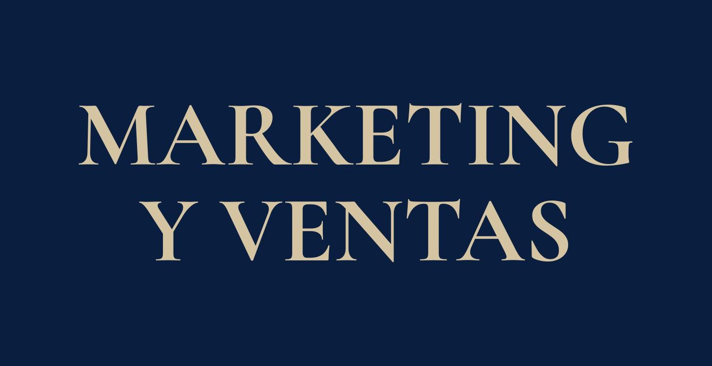 Nivel 5: Marketing Digital y Ventas