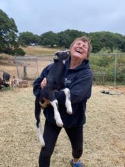 Linda L Churchill