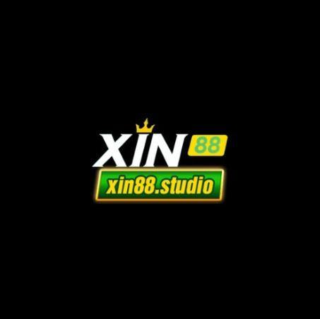 Xin Studio