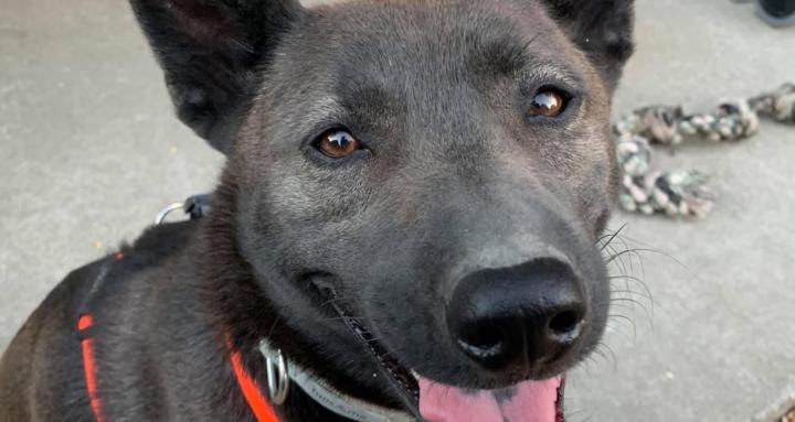 Inward Journey Outward Growth