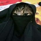 Hikmah Mohammed Kidre