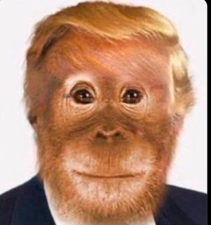 Bibi Putler