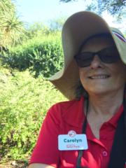 Carolyn Stoker