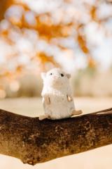 Matthew Van Steenkiste