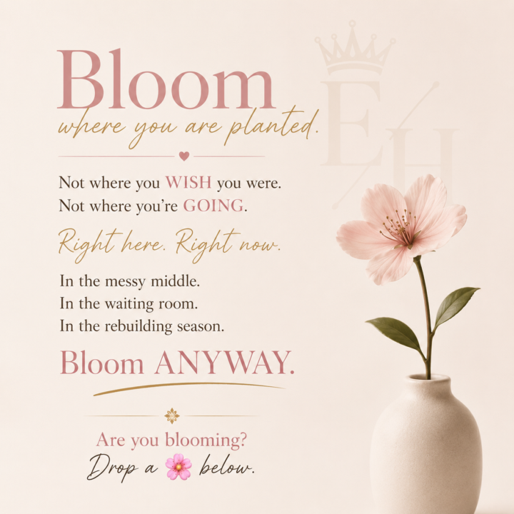 Bloom where you are planted🌸
