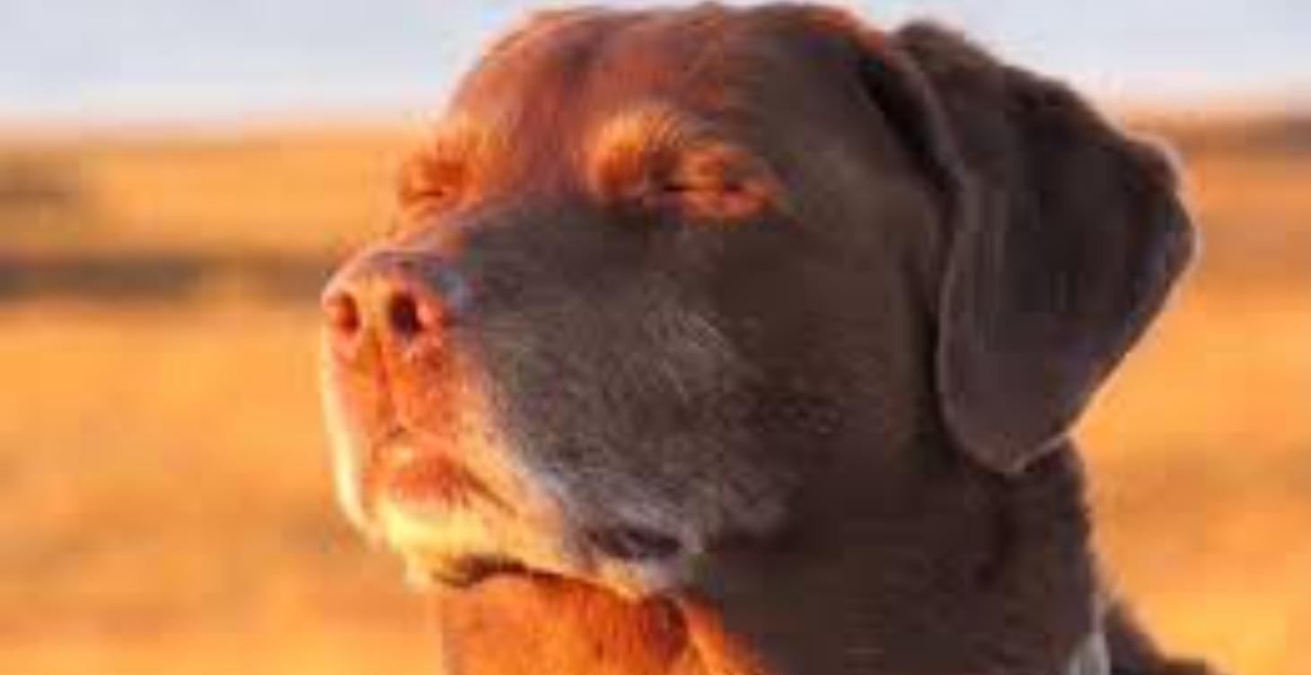 Intro to Meditation and Mental Practices