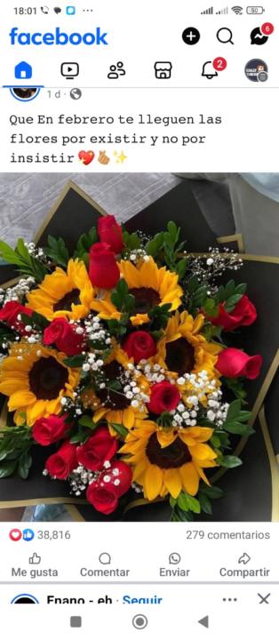 Zaira aylen Bravo Schwindt