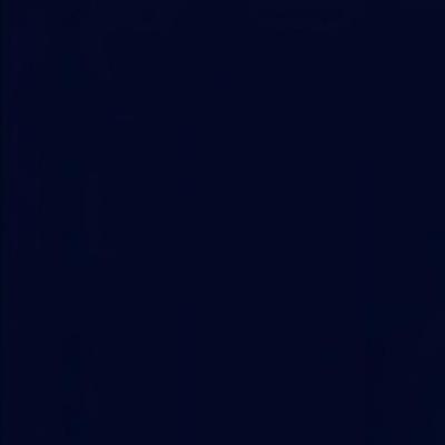 Bremyan Theventhiran