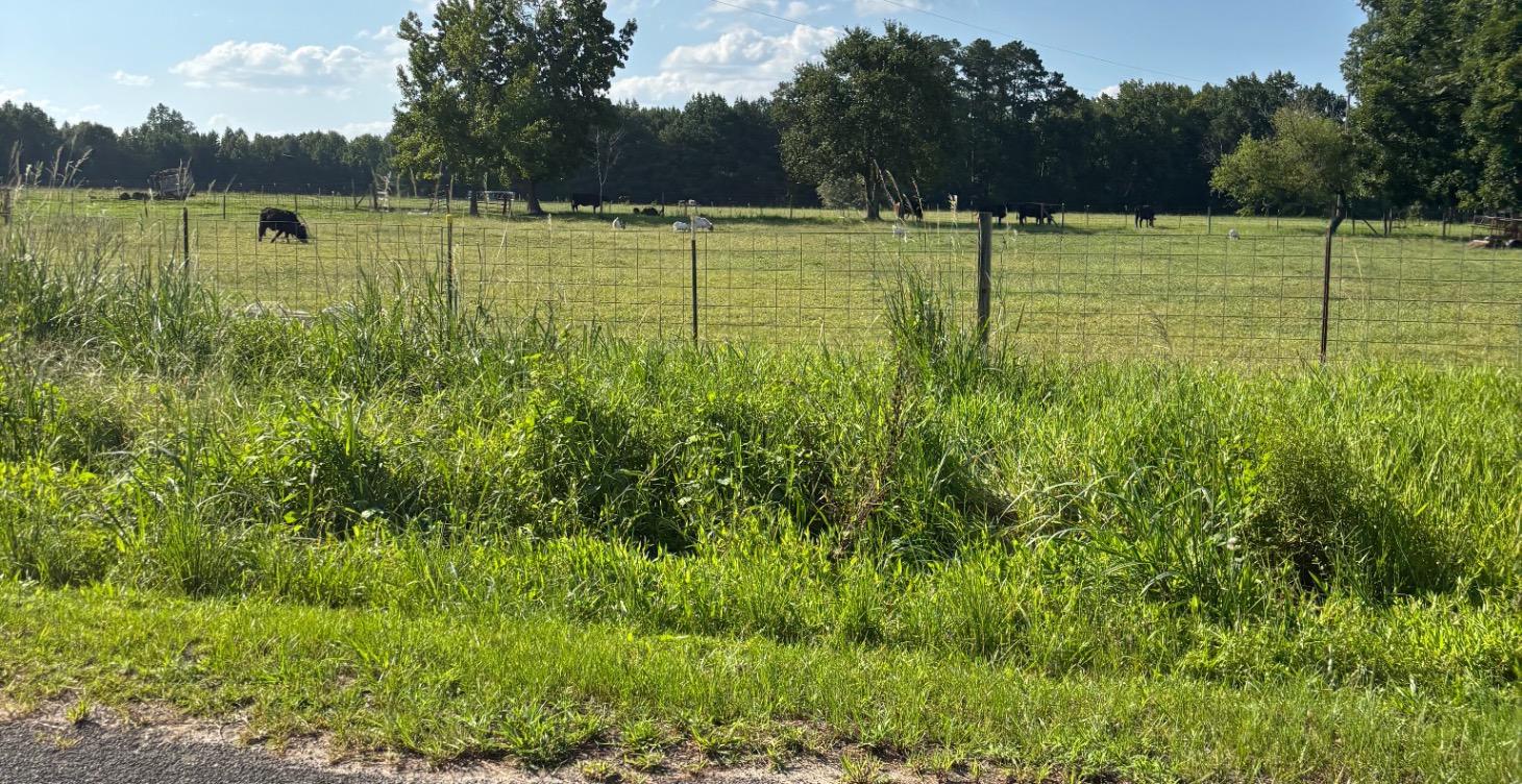 Behavior Modification