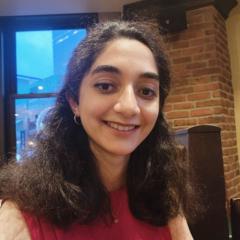 Seyedehsara Pishvaeian