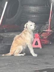 Andrés Felipe Hernández