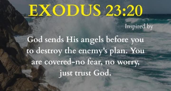 21 Day Reset Journey