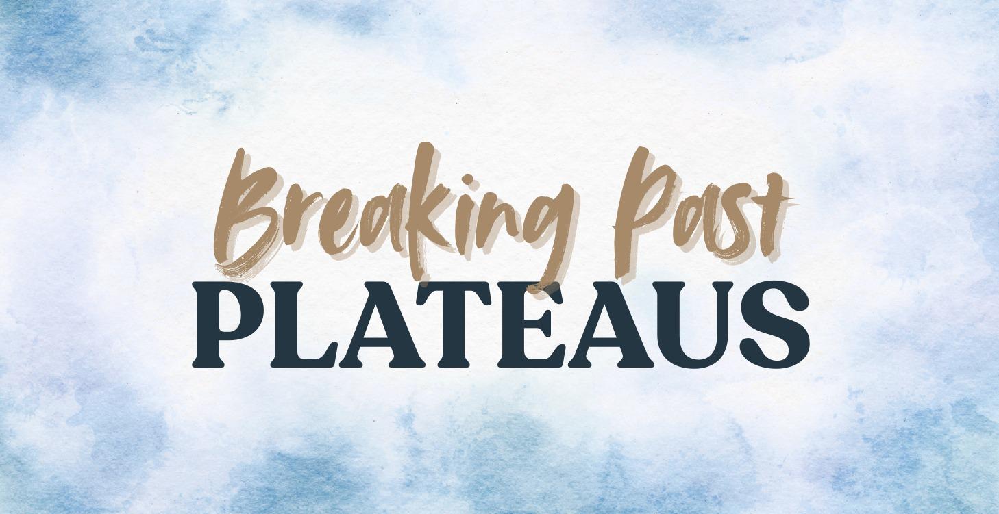 Plateau breaker blueprint