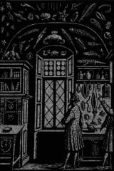 Mustapha Krivic Rezar