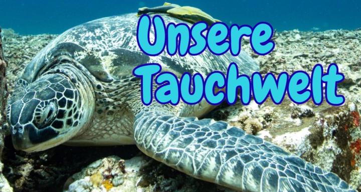 Unsere Tauchwelt