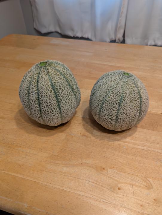 Cantaloupe 