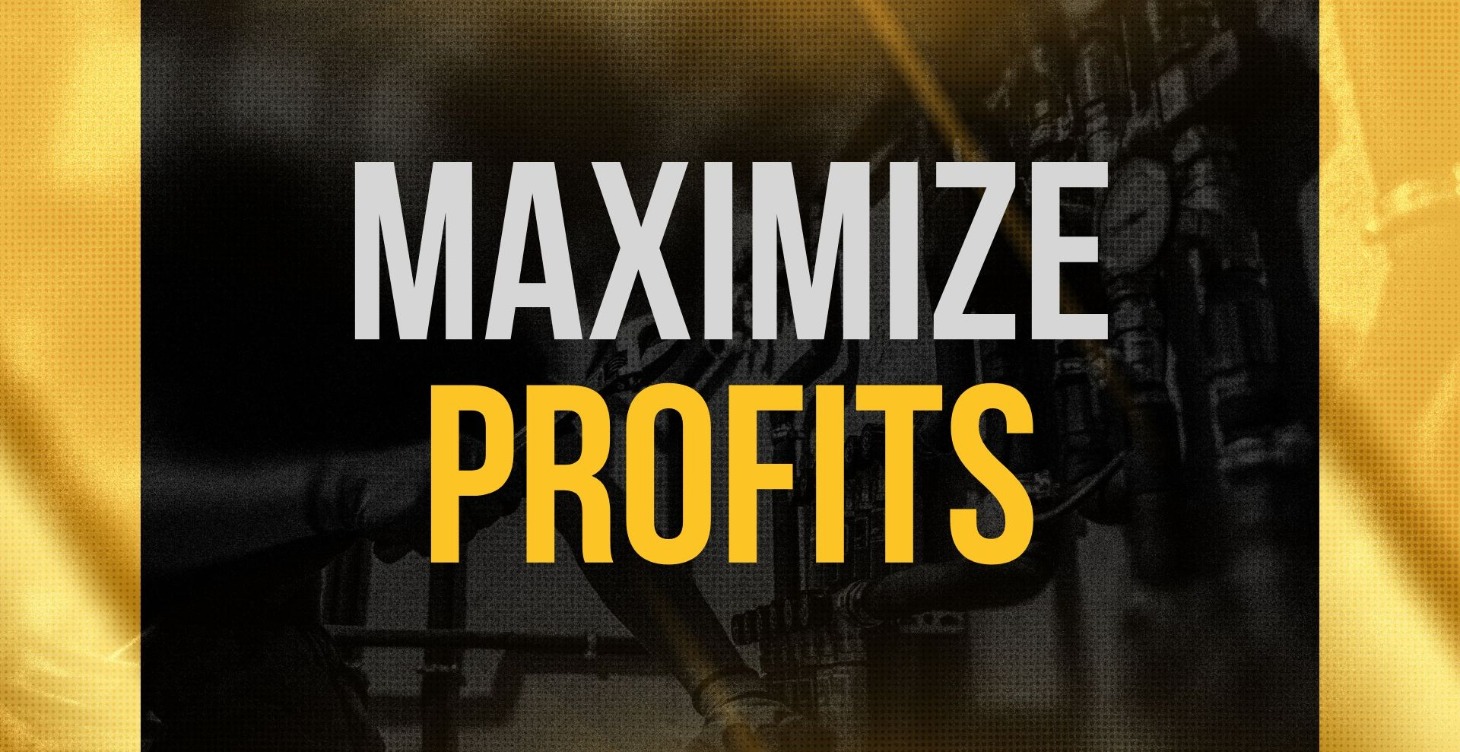 Maximize Profits