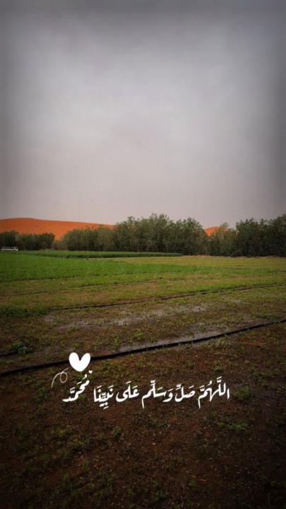 فايز الدوسري