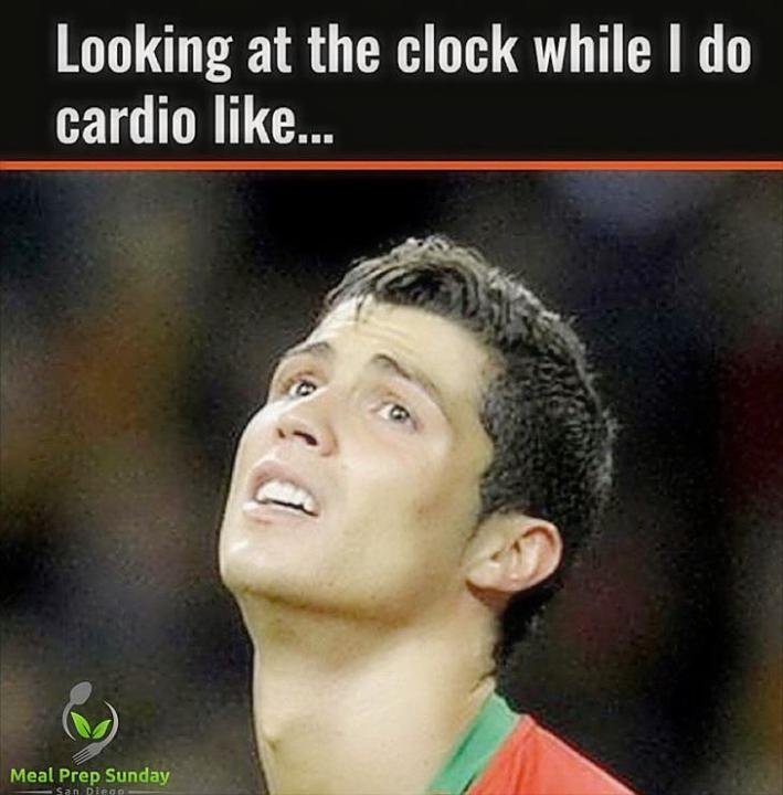 Killt Cardio die Gains?