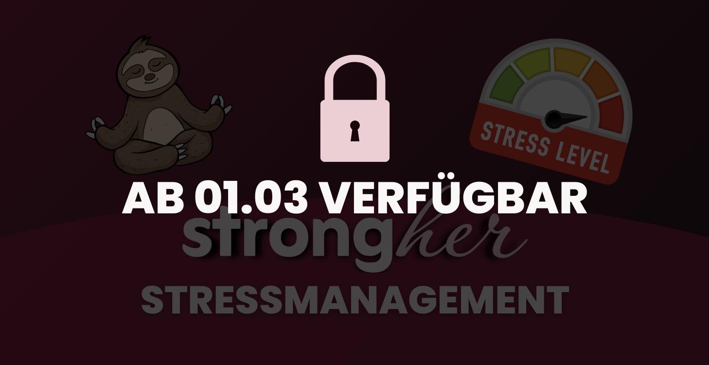 Stressmanagement Guide