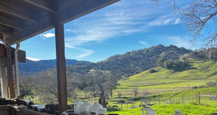 City to Country Frugal Farming