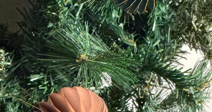 WS: Gefunden statt gesucht