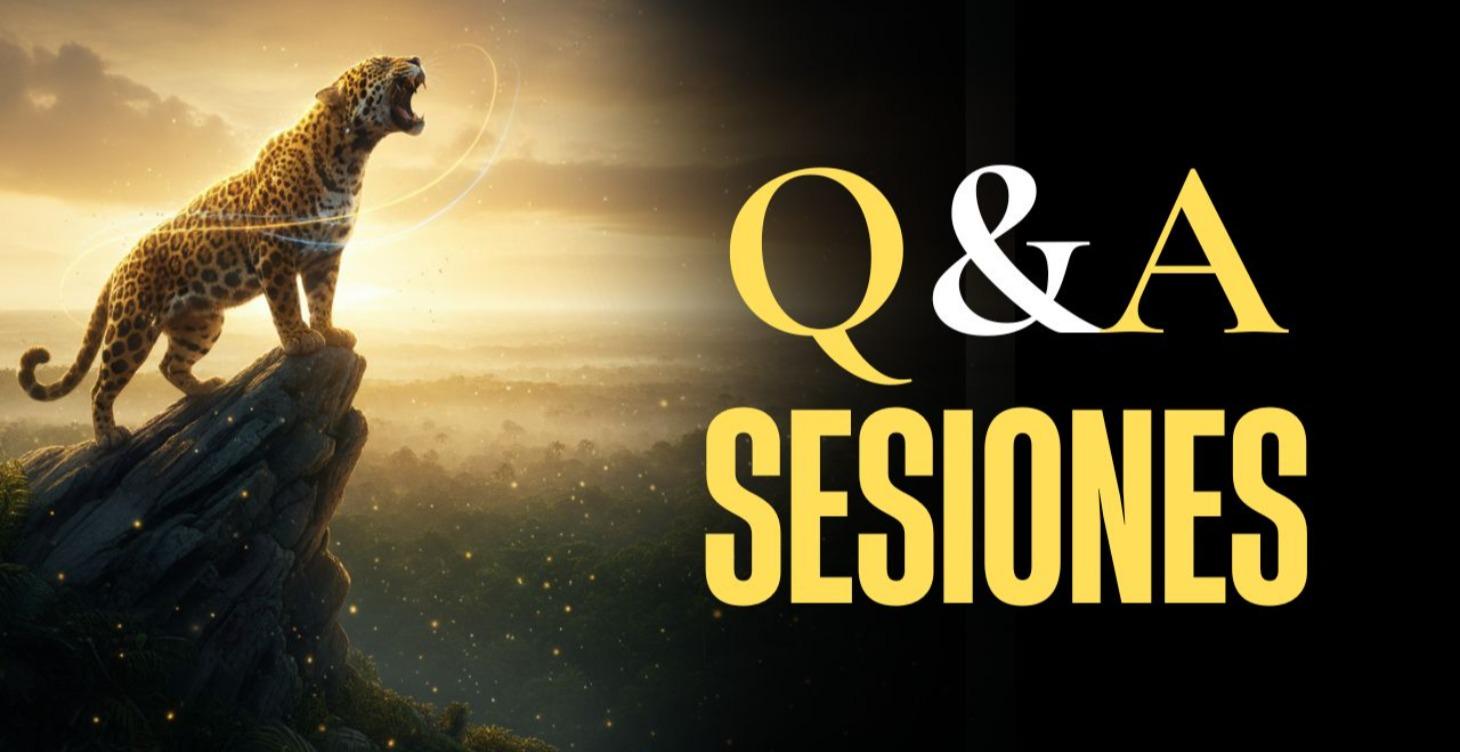 💬 Sesiones Q&A