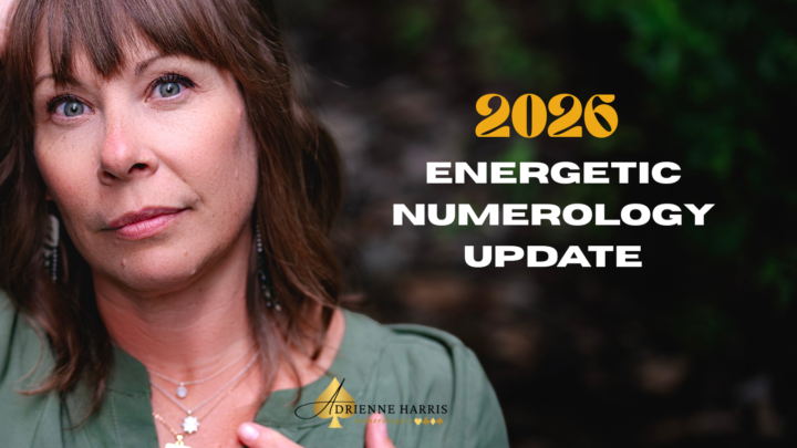 ✨2026 Energetic Update Replay✨