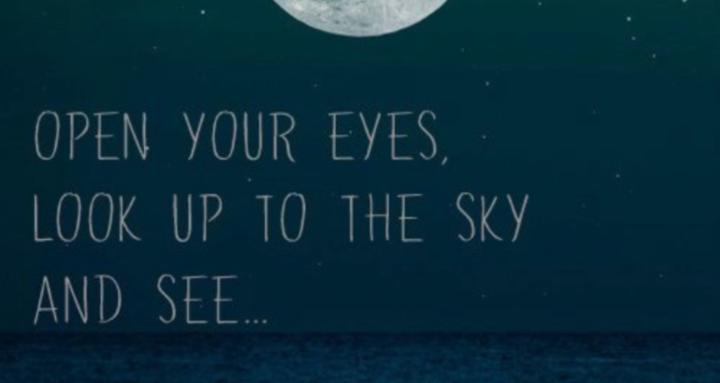 Social impact project help