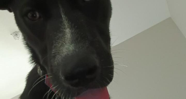 Surviving the cracks