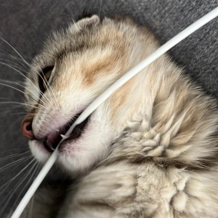 D L