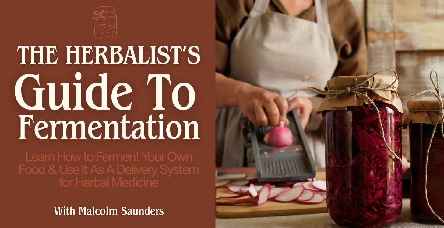 The Herbalist's Guide To Fermentation