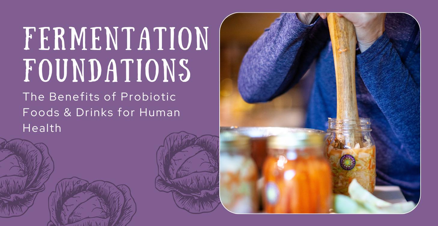 Fermentation Foundations