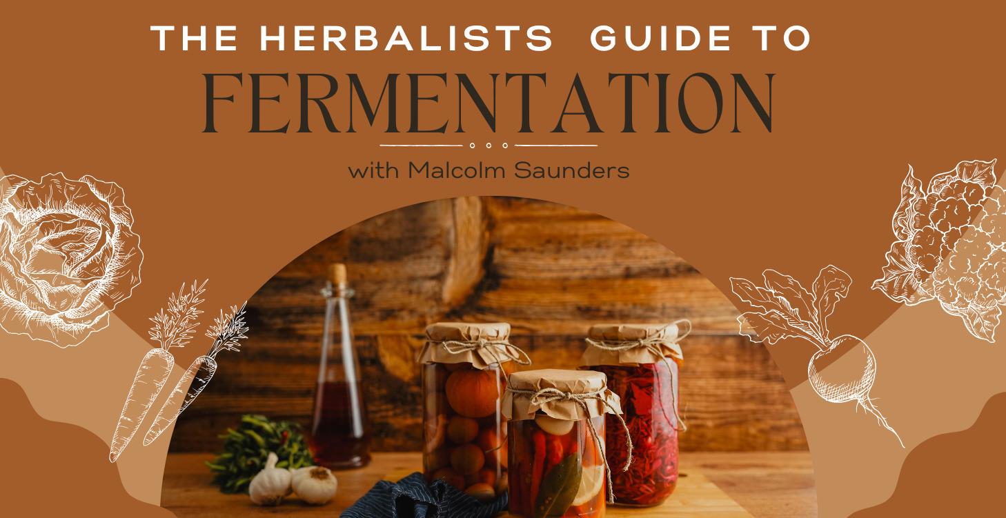 The Herbalist's Guide To Fermentation