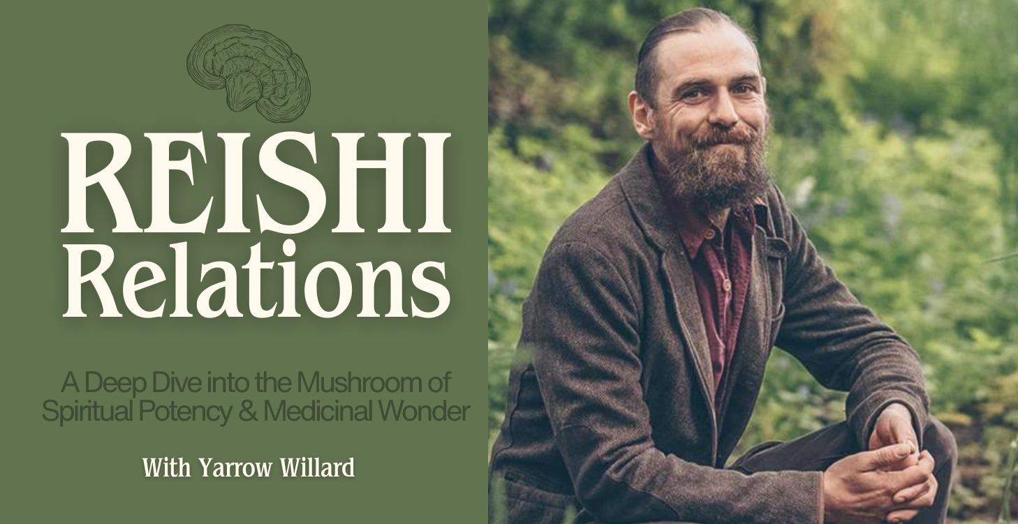 Reishi Relations: A Deep Dive Into It's Benefits