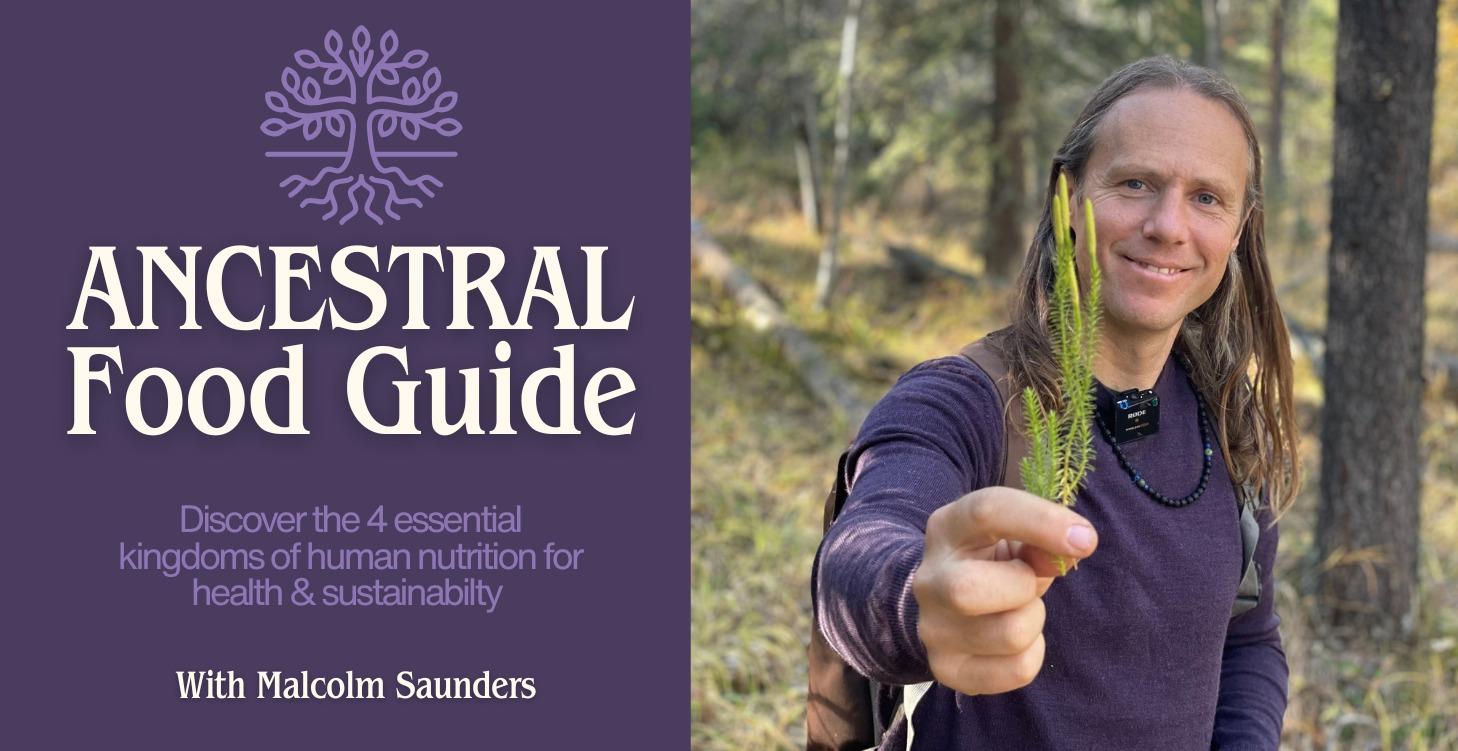 Ancestral Food Guide: The 4 Kingdoms of Nutrition