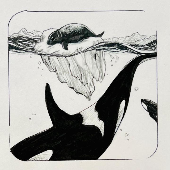 Inktober 19: Arctic