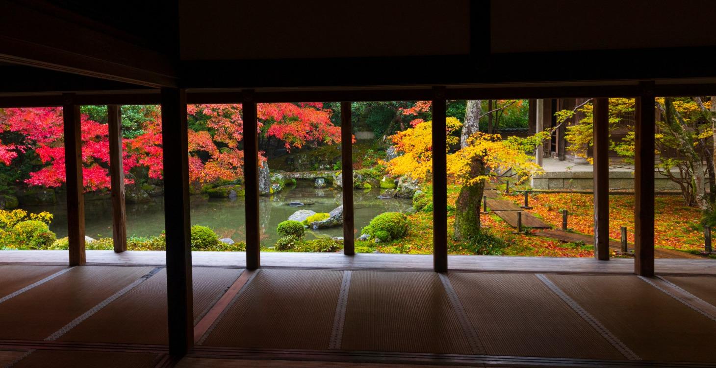 Fasting Protocol : Repair