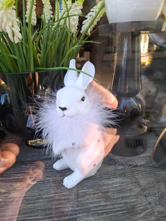 Birgit Schellschmidt