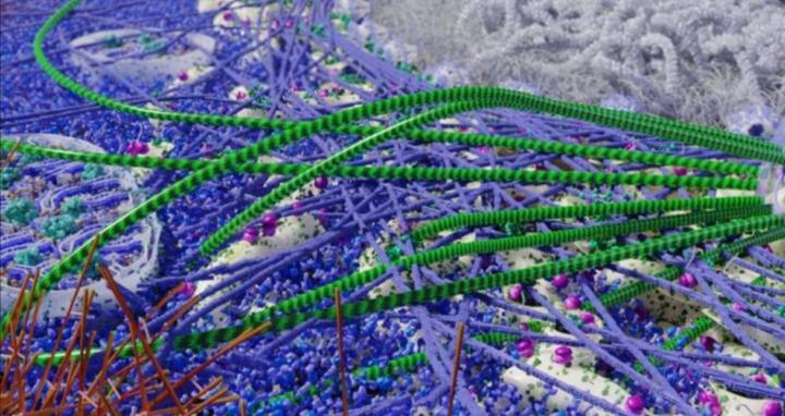 Expert Science Teacher