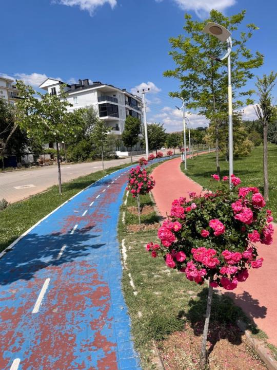 Aysegül Ceylan