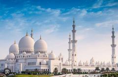 Mohammed Shafeek